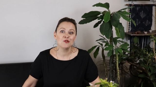 Модные однолетники. Катарантус. От А до Я. смотреть онлайн