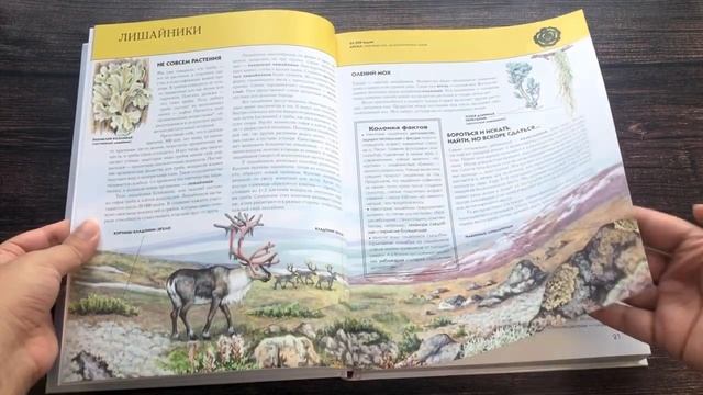 Растения. Полная энциклопедия смотреть онлайн