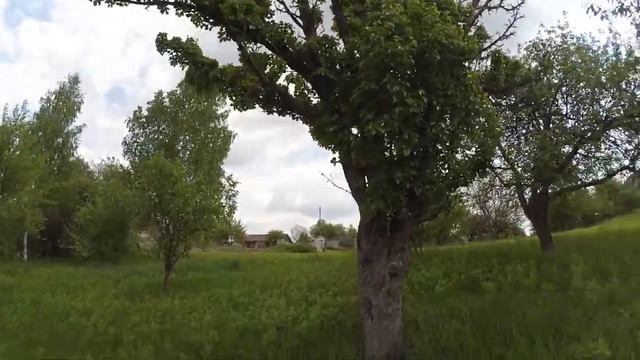 Осмотр дачи (сорян за звук)