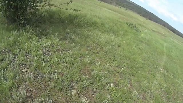 Охота за грибами 2016 (Дневник рыболова) Hunting for mushrooms in 2016 смотреть онлайн