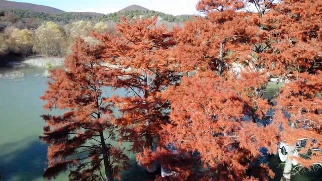 Кипарисовое озеро Сукко. смотреть онлайн