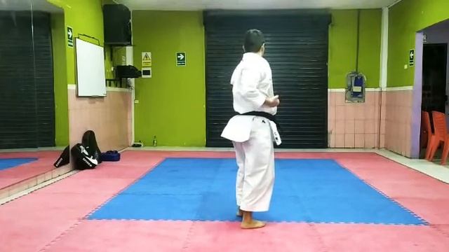 Santino Ríos Guerrero / 23 años / Dojo Ingrid Aranda KARATE-DO/ Perú смотреть онлайн