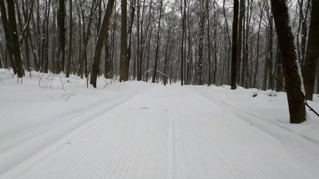 Зимняя Звезда Черноземья 2024, обзор трассы