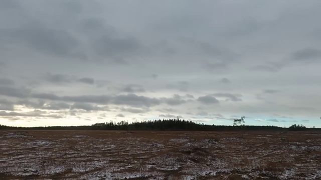 Охота на гуся, болото, осень 2022 смотреть онлайн