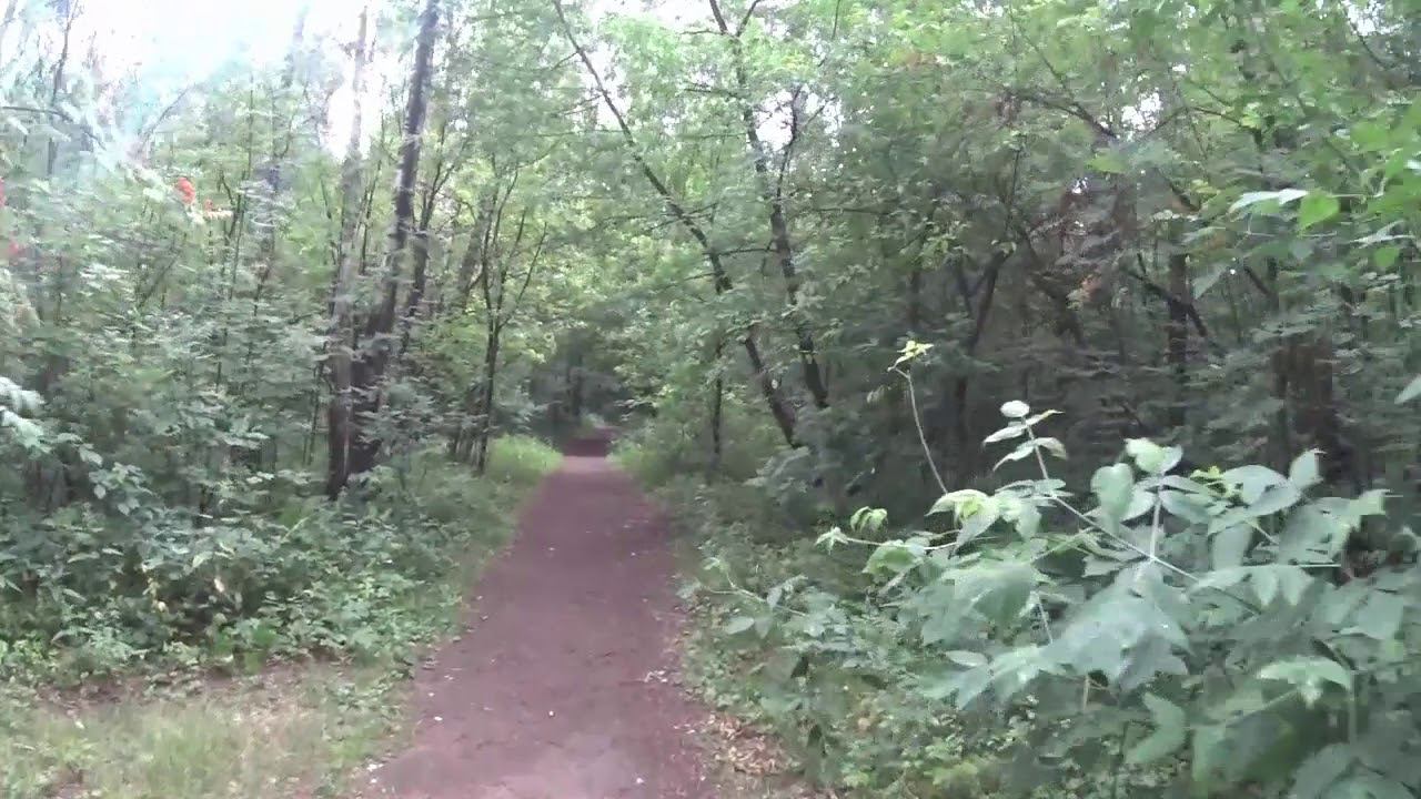 Стабилизатор Feiyu для Видеокамеры Sony Action - Тест смотреть онлайн