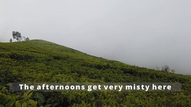 Getting to Kawah putih (the white crater) by public transport (Epic Java Adventure: day 35) смотреть онлайн