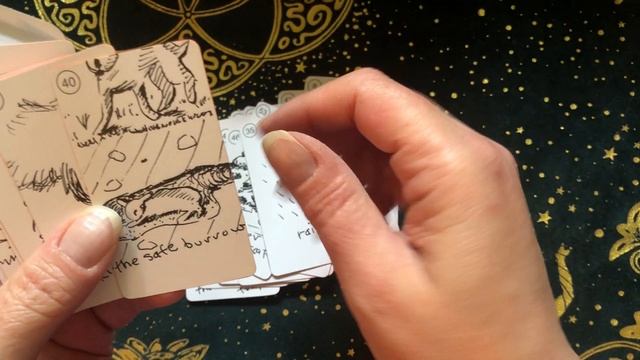 My Oracle Deck Collection Part 2 2022 смотреть онлайн
