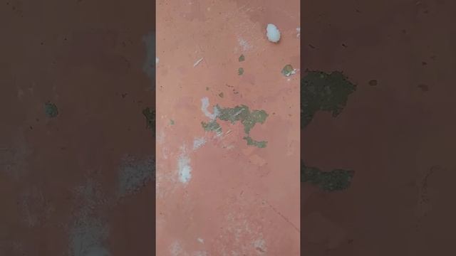 Краска Дорожка от компании КрасКо - деньги на ветер!..