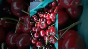 Черешня Скина. Первые плоды. 10.07.2021.