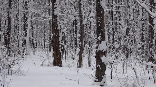 Часть 2. Йога Нидра. Книга смотреть онлайн