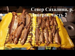 Север Сахалина, р. Лангры, осень 2021, часть №2