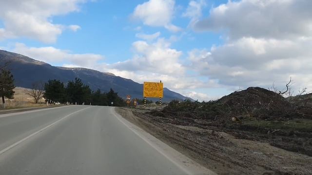 ПИЦУНДСКИЕ СОСНЫ СПИЛИЛИ МЕЖДУ ГЕЛЕНДЖИКОМ И КАБАРДИНКОЙ.. И ТРАССУ РАСШИРЯТЬ НАДО И ДЕРЕВЬЯ ЖАЛКО. смотреть онлайн