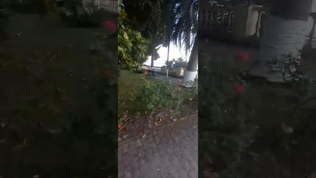 Обзор Пансионат Лазурный Берег. Гагры. Абхазия смотреть онлайн