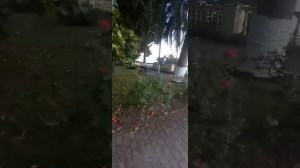 Обзор Пансионат Лазурный Берег. Гагры. Абхазия