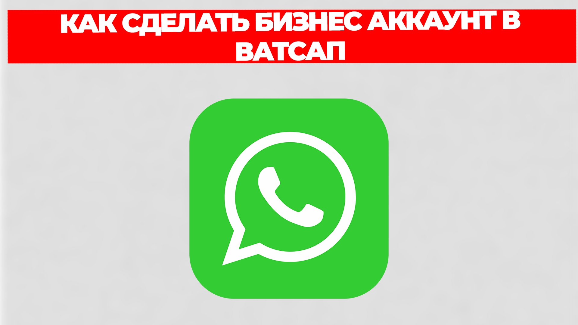 Всезнающий Енот