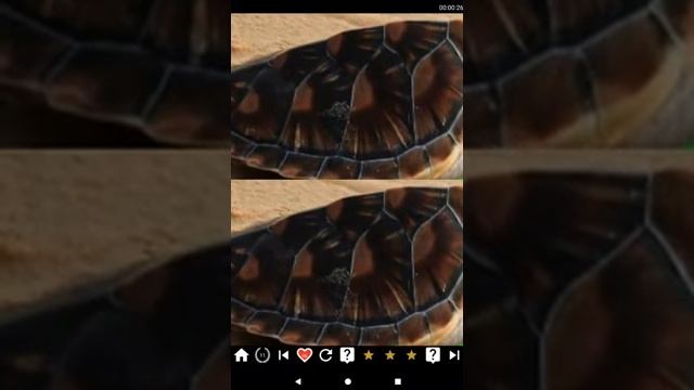 Expert spot the difference game 2018 смотреть онлайн