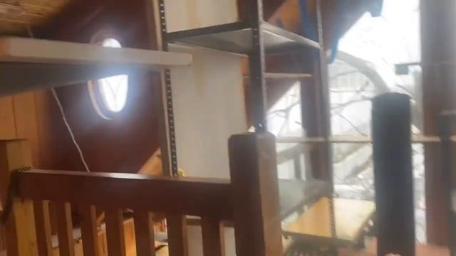 Теперь помогаем в гараже / Коллекция ракушек / Американский дом смотреть онлайн