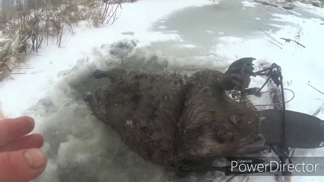 Бобр 21 кг. смотреть онлайн