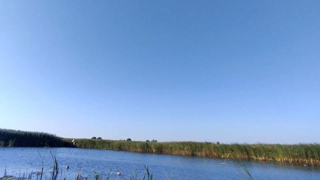 Шикарная !!!охота на утку 2021 - ловля жереха! часть-2 смотреть онлайн