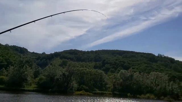 Ловля карпа на макушатник | Карповая рыбалка | Рыбалка на карпа | Carp Fishing смотреть онлайн