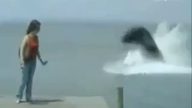 морское чудовище смотреть онлайн
