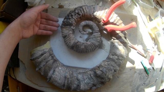 Episode 44 Heteromorph Ammonite Rebuild смотреть онлайн