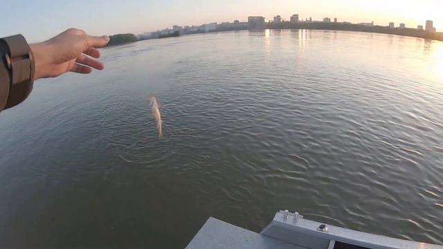 Окунь на отводной поводок. Красивая рыбалка в городе! смотреть онлайн