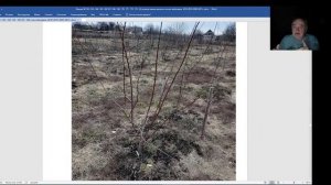 Железов Валерий. Вебинар 174. Толик Позигун с Украины.mp4