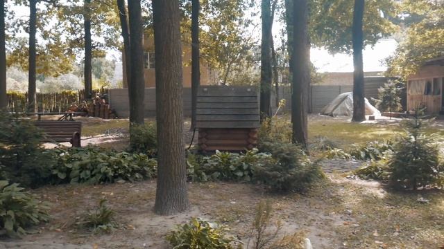 Дети от 6 до 17 лет психологический лагерь смотреть онлайн