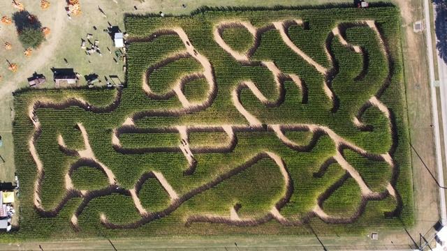 Maize Maze 2 (4K) смотреть онлайн