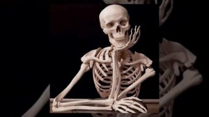 FACE - она пишет мне Wassup | speed up