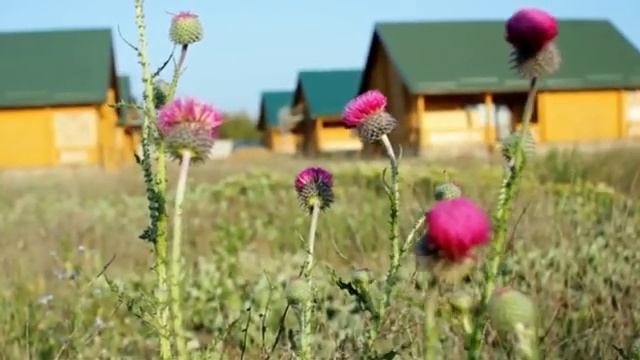 Коттеджи на берегу моря. База отдыха 