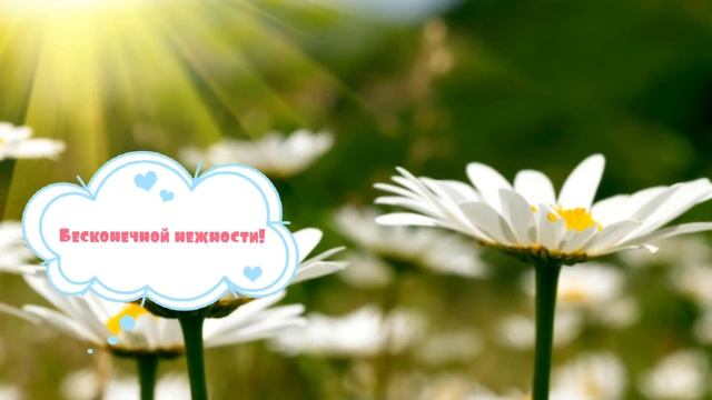 Ромашки! Безграничной нежности, любви и гармонии! смотреть онлайн