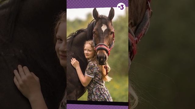 Катастрофа: испуганный жеребец сносил все на пути... #shorts смотреть онлайн