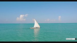 #Islam#Quran#AlHadid#ٌMinshawiy#Коран#СурАльХадид#СамыеКрасивыеМеста#Relaxation#4кВидео#1часть#
