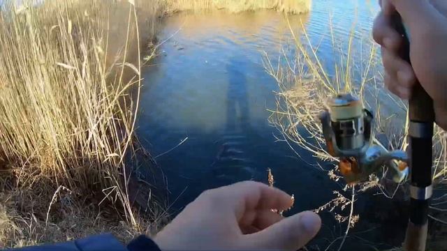 Рыбалка на Кубани.В поисках хищника.Ловля щуки.Рыбалка в январе смотреть онлайн