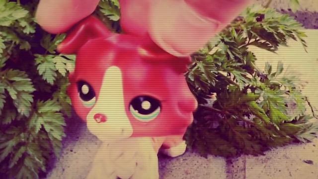 Lps Music Video: самбо белого мотылька смотреть онлайн