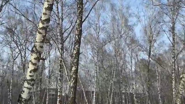 КЕМЕРОВО КИРОВСКИЙ Р-ОН. смотреть онлайн