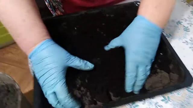 Прогрев грунта в домашних условиях. смотреть онлайн