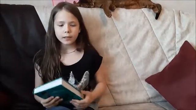 Видеообзор книги Приключения кота-детектива "Секрет еловых писем" Фрауке Шойнеманн /// смотреть онлайн