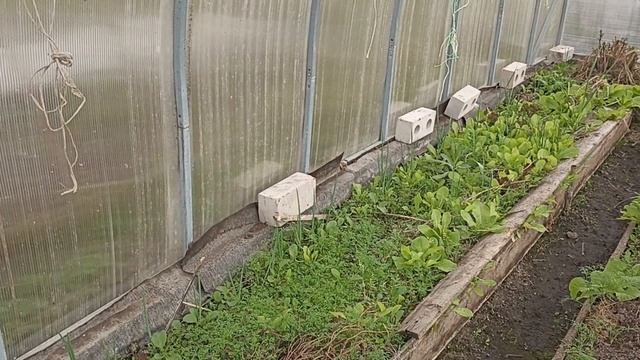 Обзор теплицы 14 мая смотреть онлайн