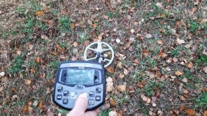 АКА Сигнум /кат.10дд20 кгц/курки,крутилки и их настройка,тест на поле .  (часть 2 )