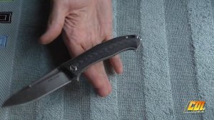 RealSteel «lynx» (Иван Брагинец)