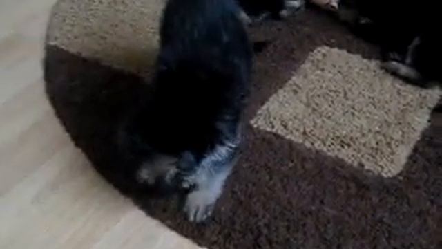 1 мес, 5 дней. смотреть онлайн