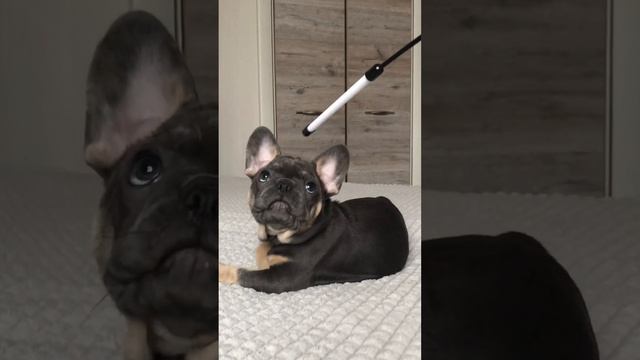 Раиса-брутальная баба? смотреть онлайн