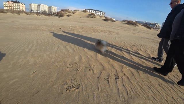 26 декабря. В Анапе тепло. смотреть онлайн