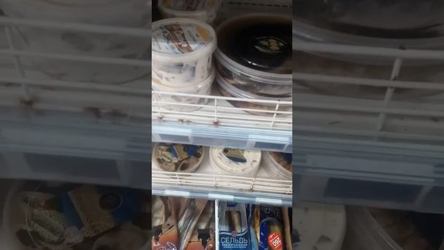 Магнит просрочки- Таганрог смотреть онлайн