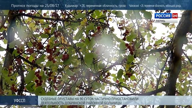 Пермяков ждет похолодание смотреть онлайн