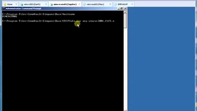CommVault Tools CVIPInfo / CVPing / GxKill
