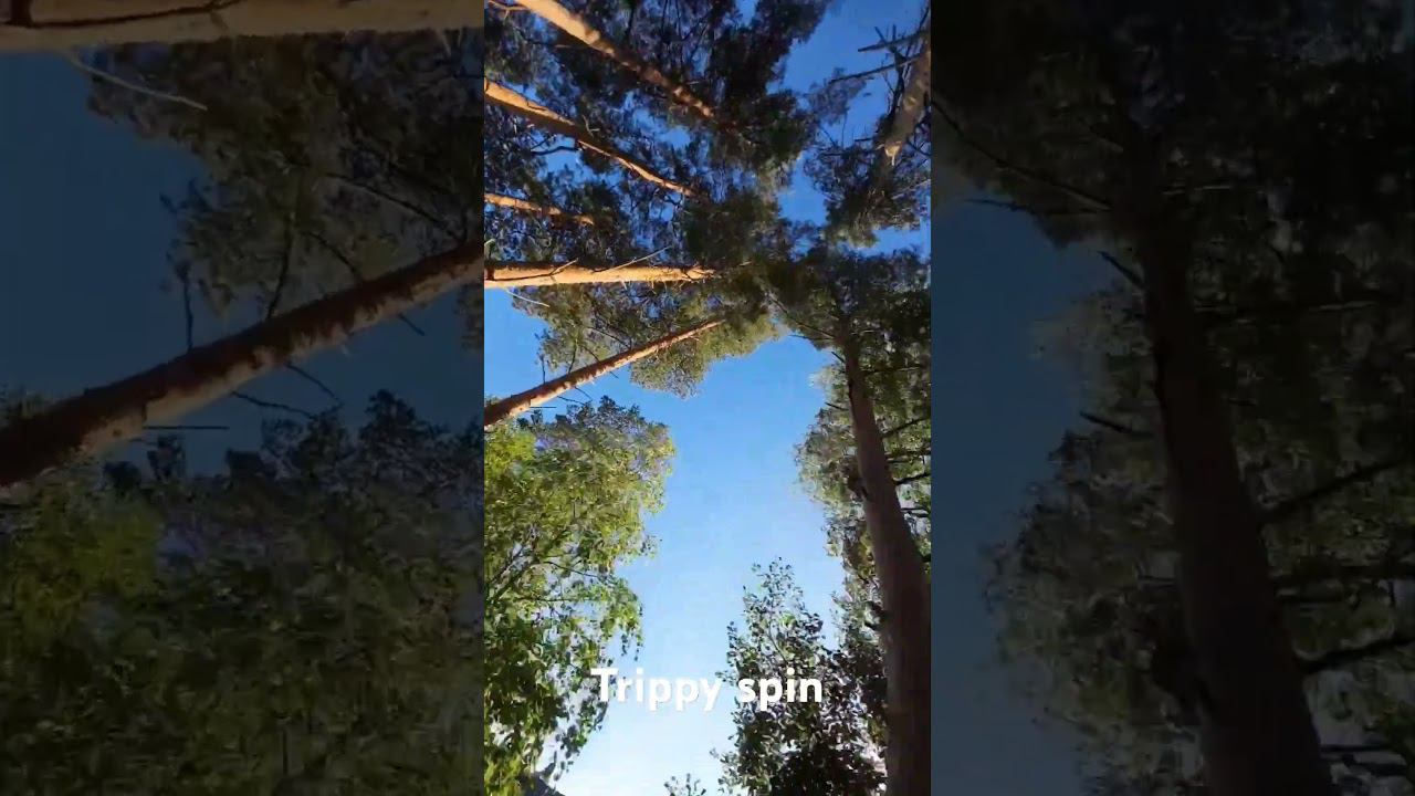 Trippy spin смотреть онлайн